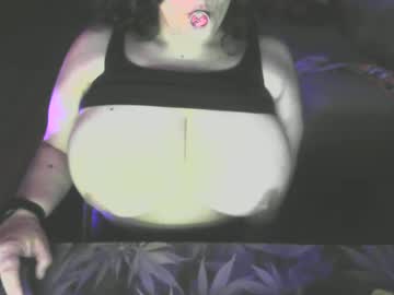 susygemini