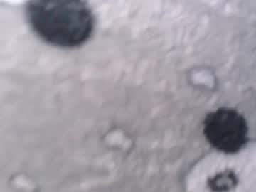 sweetlitlepussy